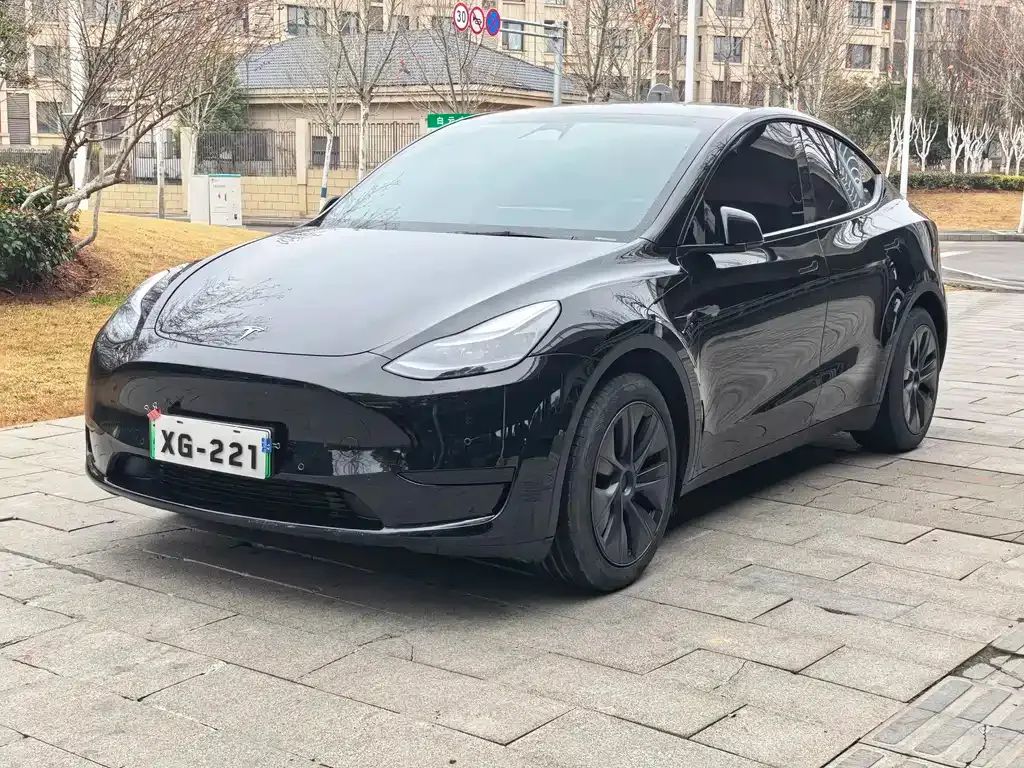 Tesla Model Y — фото 1