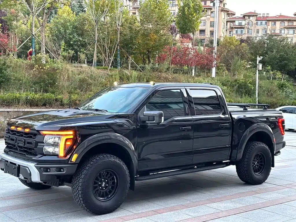 Ford F-150 Raptor — фото 1