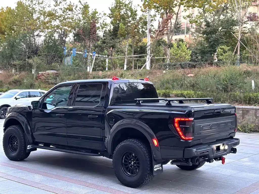 Ford F-150 Raptor — фото 8