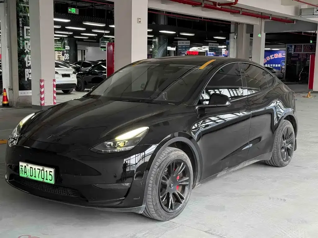Tesla Model Y — фото 1