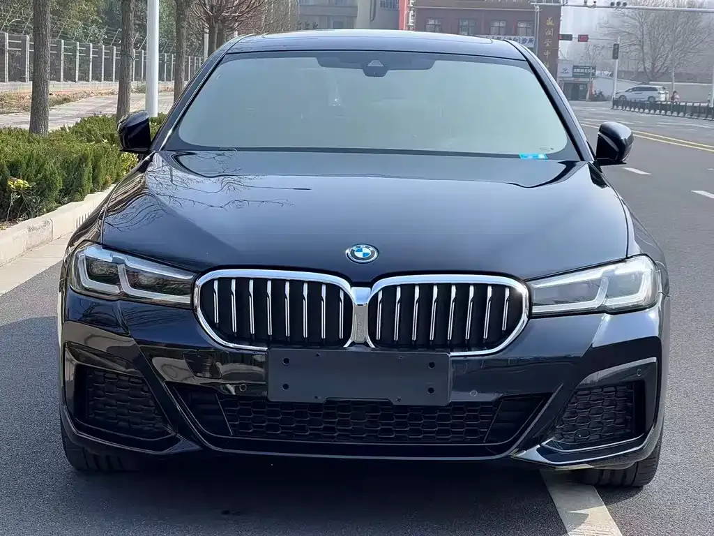 BMW 5 Series New Energy — фото 5