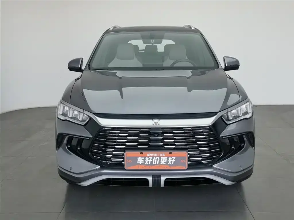 BYD Pro New Energy — фото 7