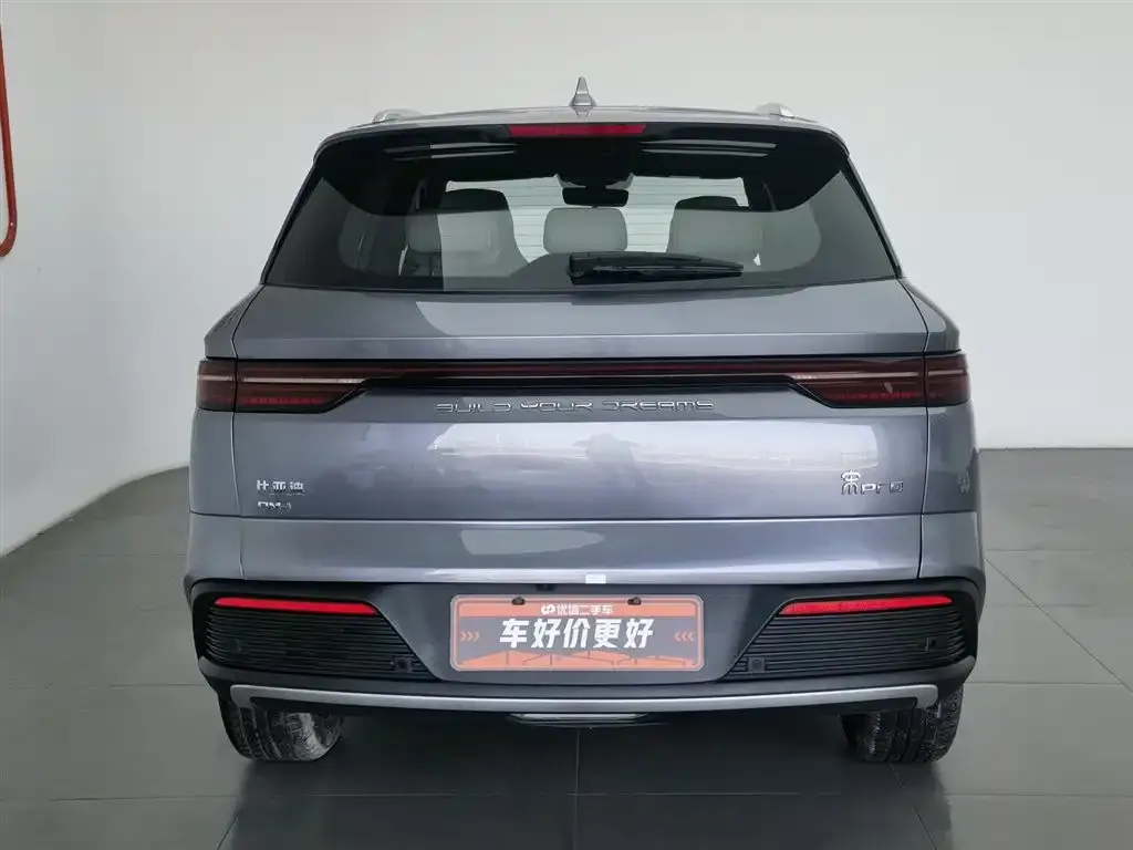 BYD Pro New Energy — фото 5