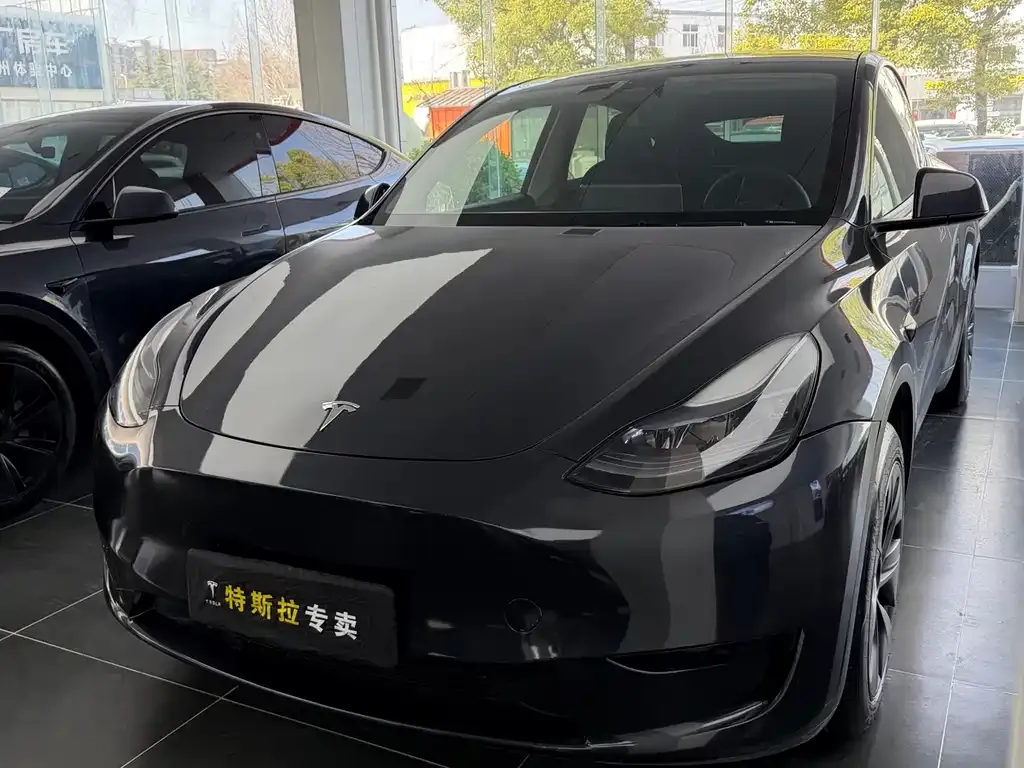 Tesla Model Y — фото 1