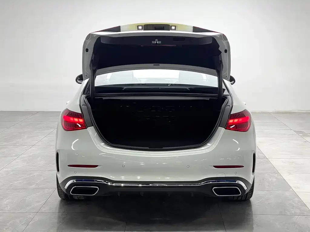 Mercedes-Benz C-Class New Energy — фото 3