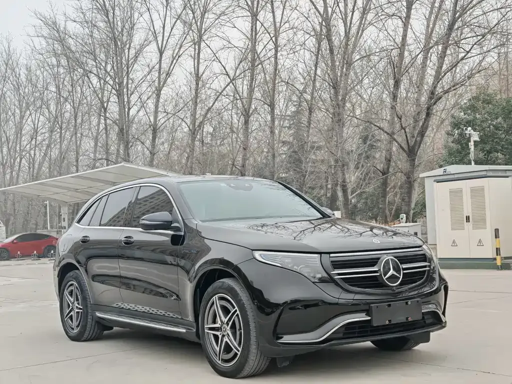 Mercedes-Benz EQC — фото 8