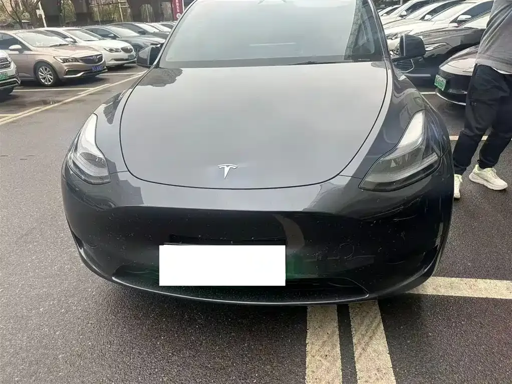 Tesla Model Y — фото 1