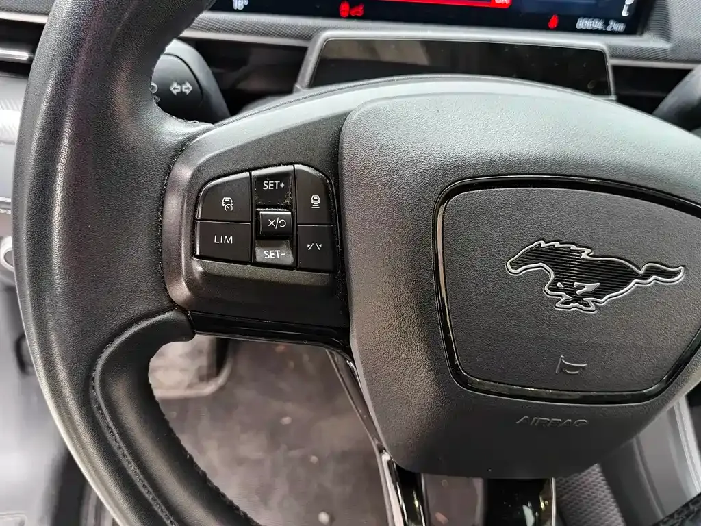 Ford Mustang Mach-E — фото 10