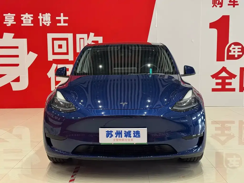Tesla Model Y — фото 2