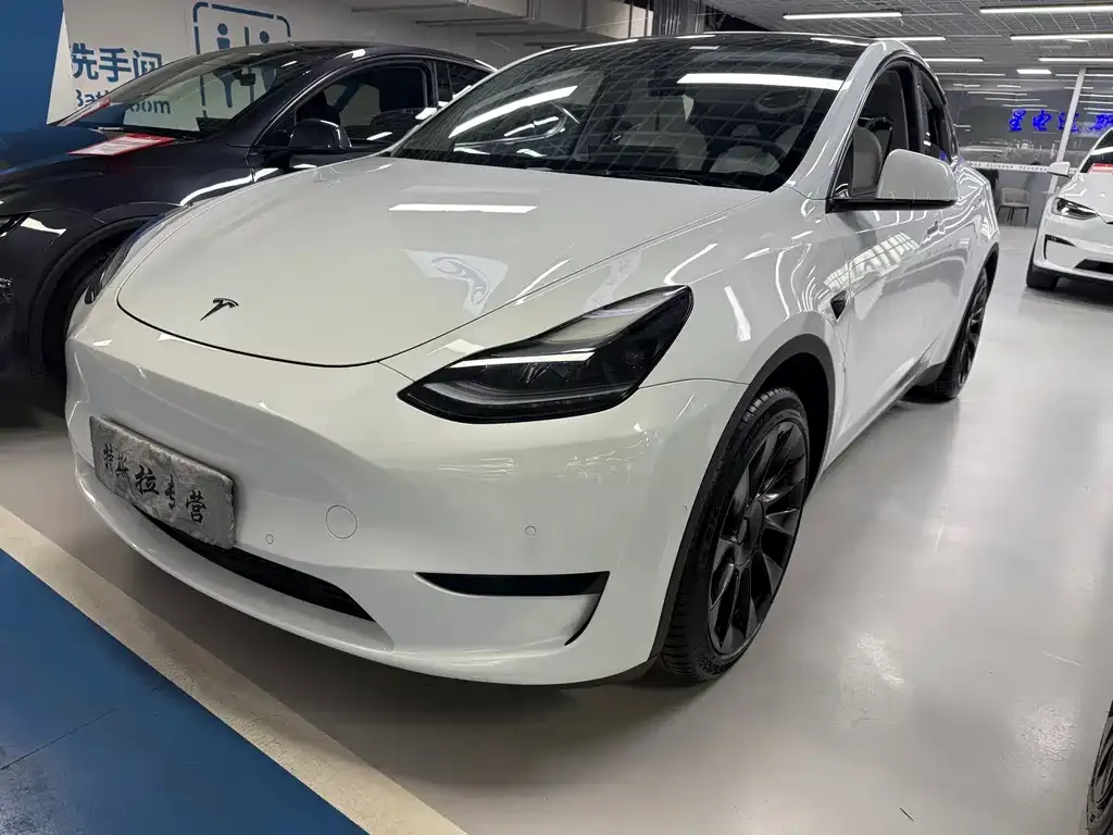Tesla Model Y — фото 1
