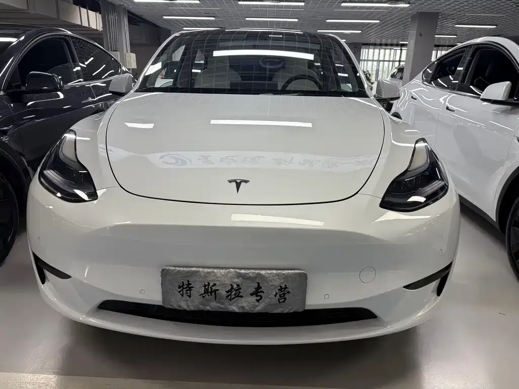 Tesla Model Y — фото 8
