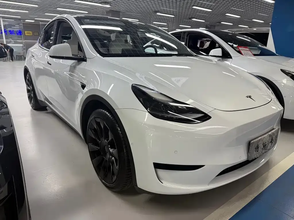 Tesla Model Y — фото 6
