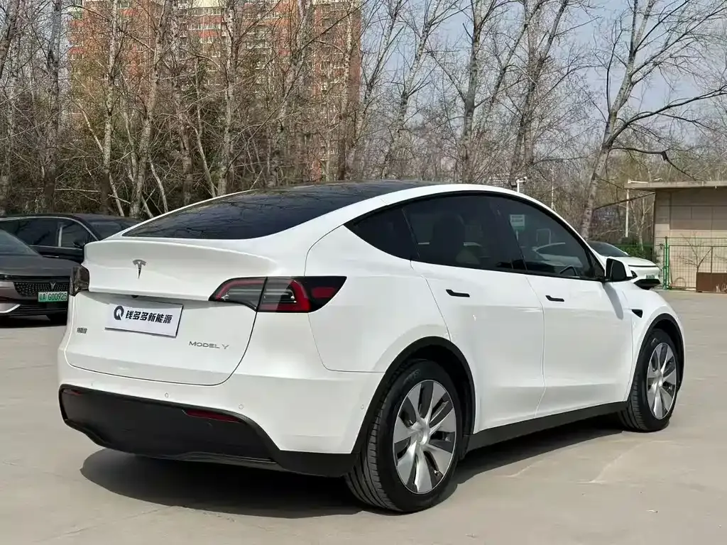 Tesla Model Y — фото 9