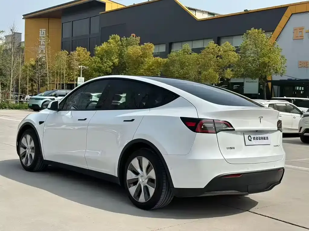Tesla Model Y — фото 3