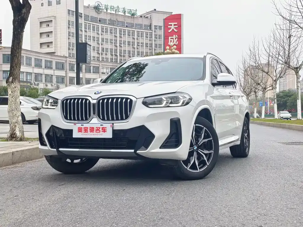 BMW X3 — фото 1