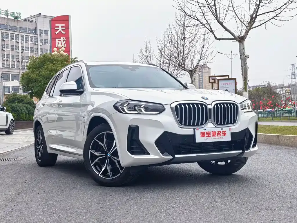 BMW X3 — фото 10