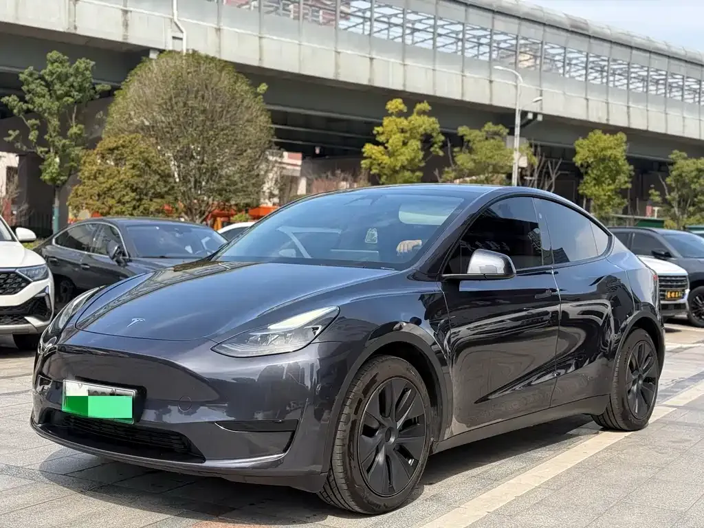 Tesla Model Y — фото 1