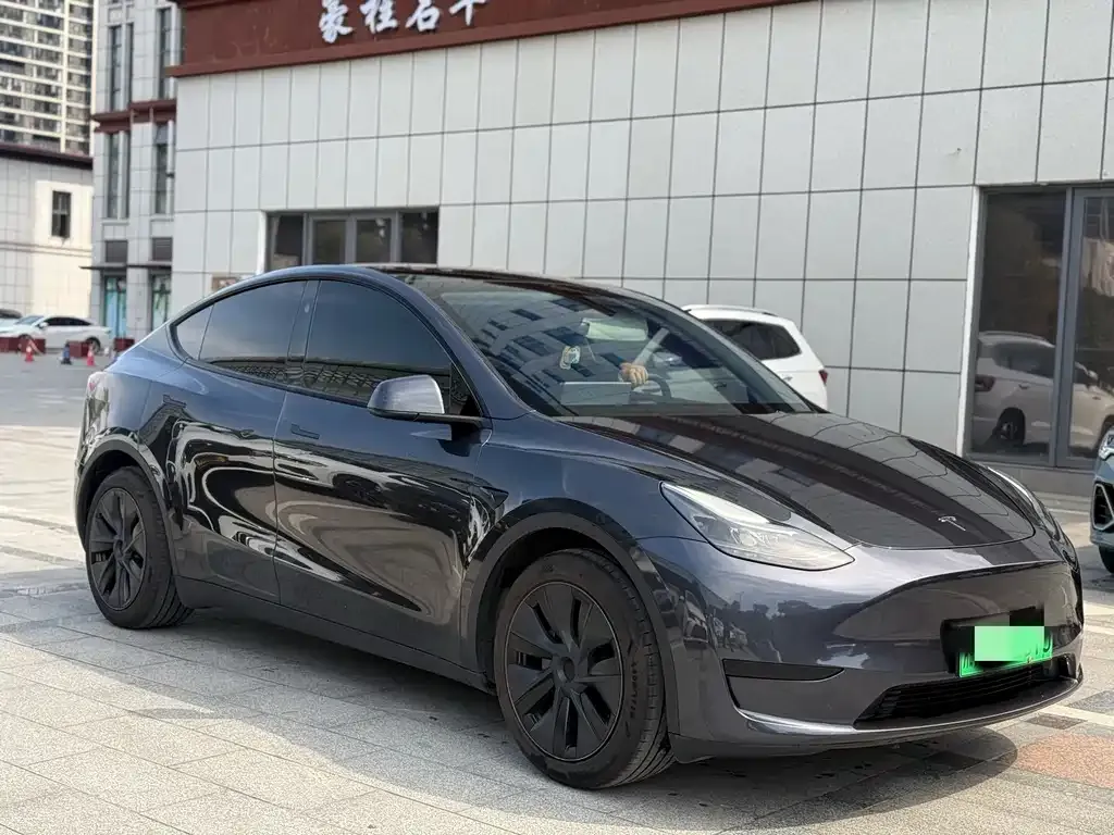 Tesla Model Y — фото 3
