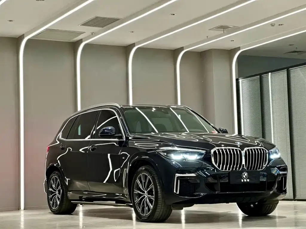 BMW X5 — фото 10
