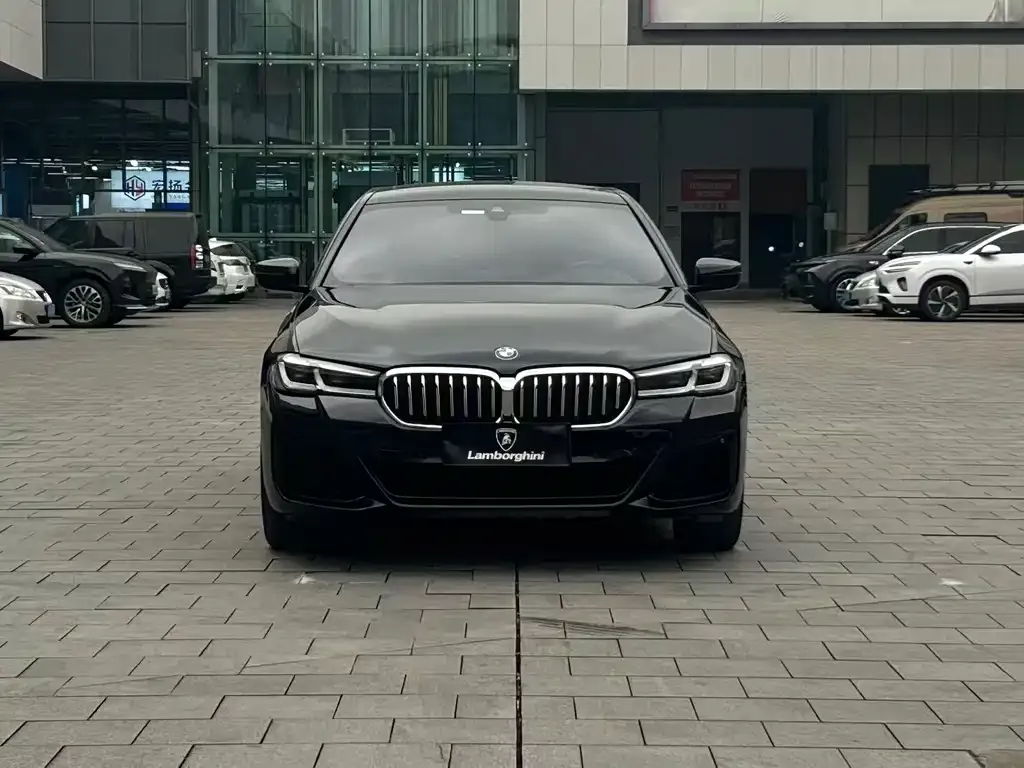 BMW 5 Series — фото 6