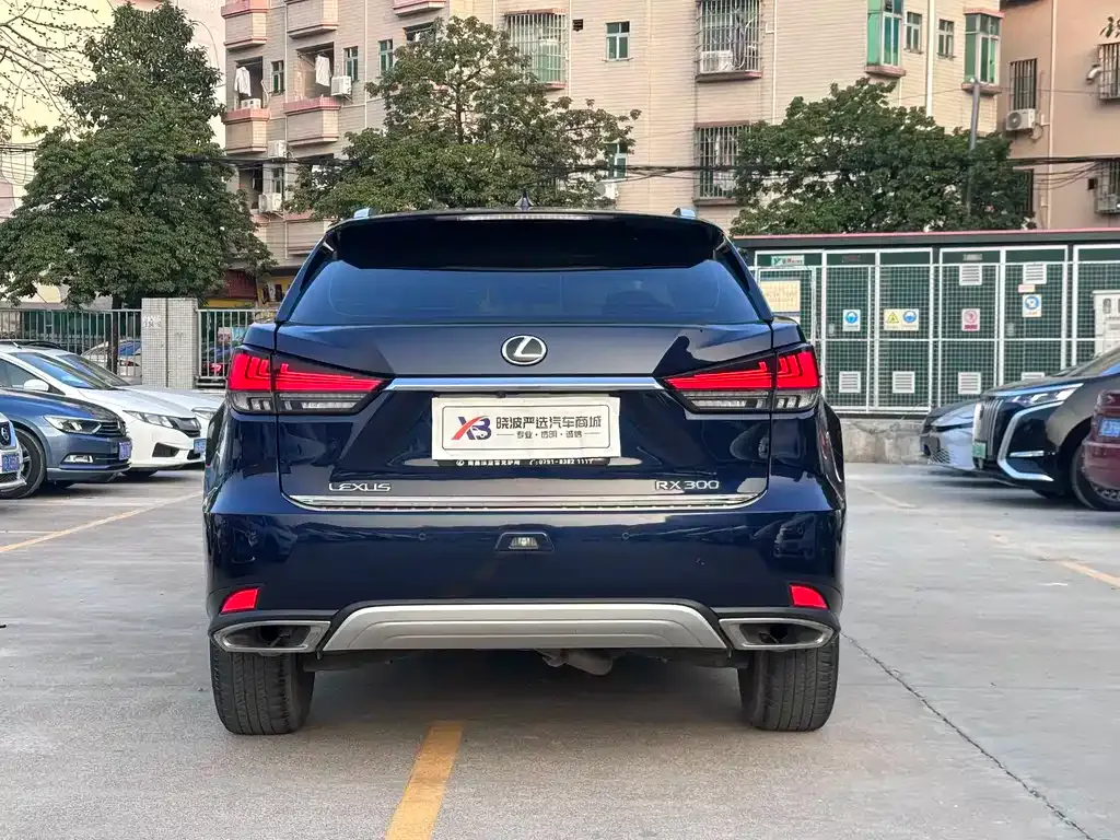 Lexus RX — фото 10