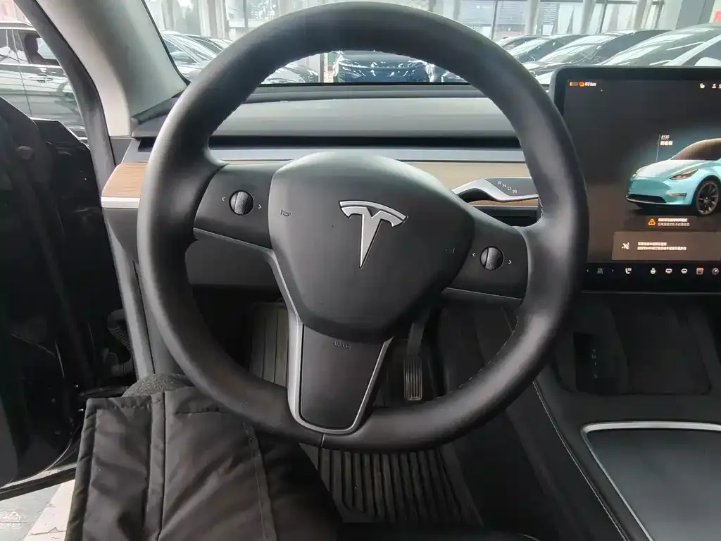 Tesla Model Y — фото 6