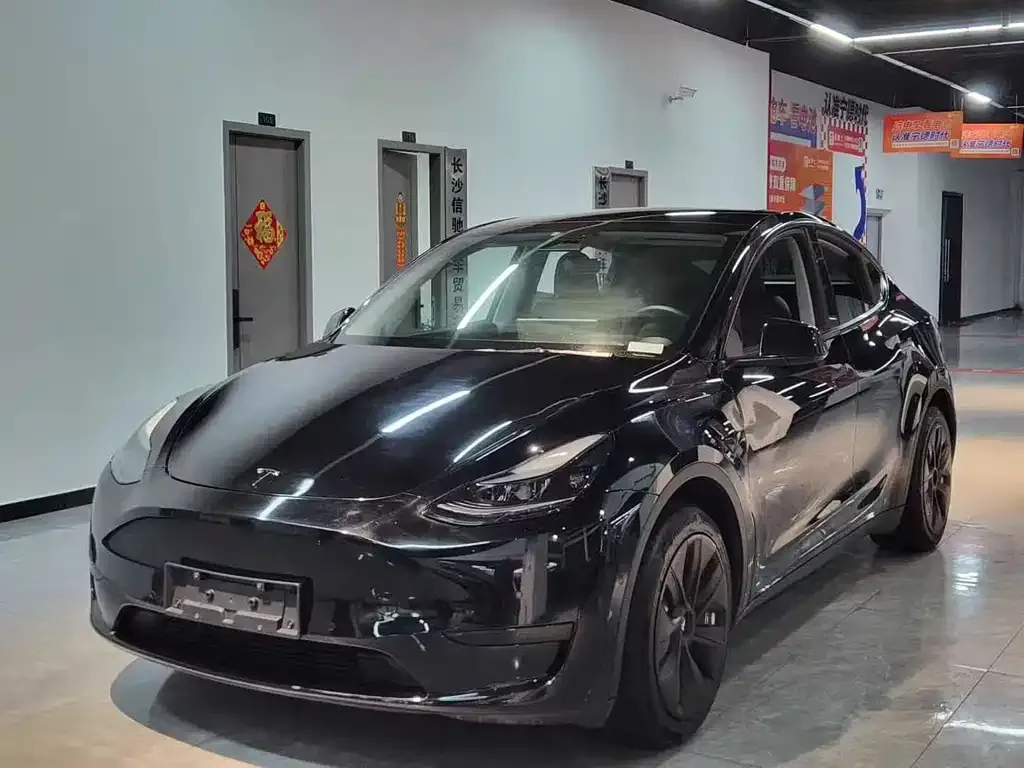 Tesla Model Y — фото 1