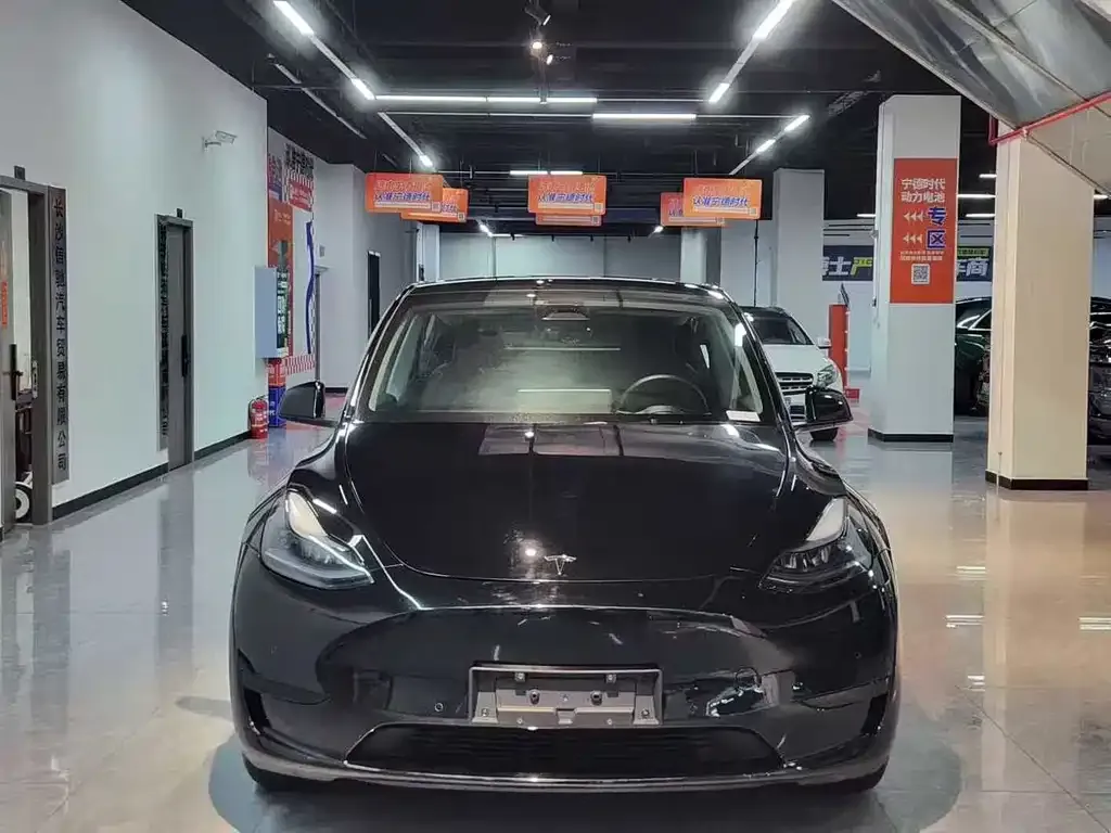 Tesla Model Y — фото 2