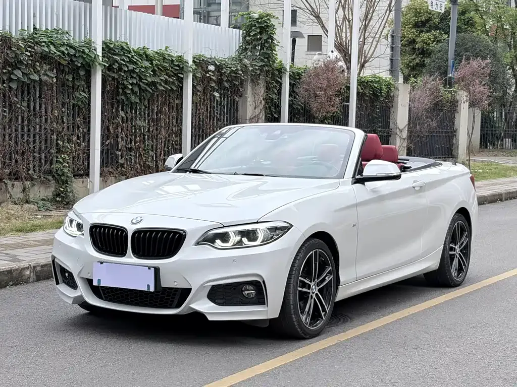 BMW 2 Series (Import) — фото 1
