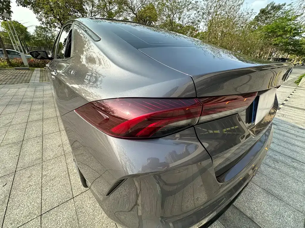 GAC Motor Shadow Leopard — фото 6