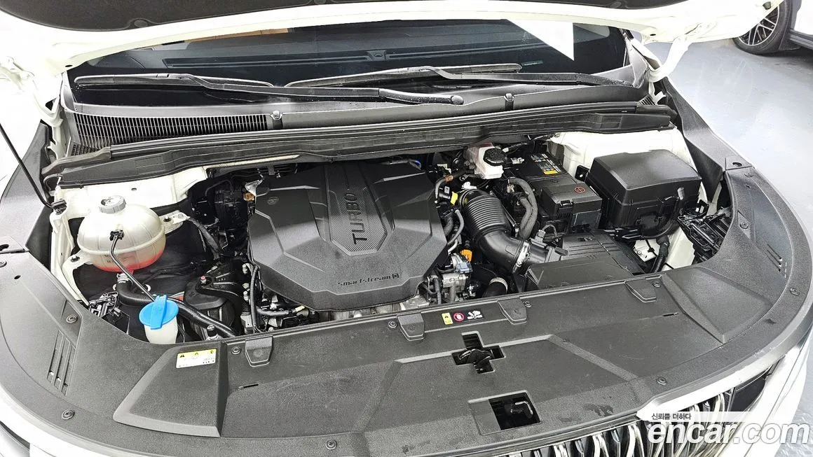 Kia Carnival — фото 10