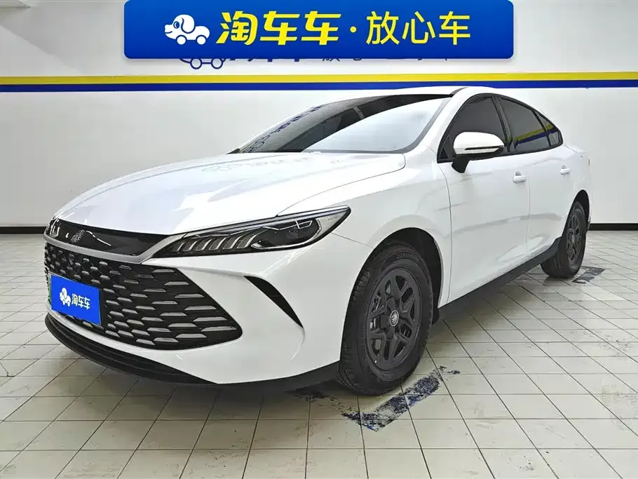 BYD Qin PLUS — фото 1