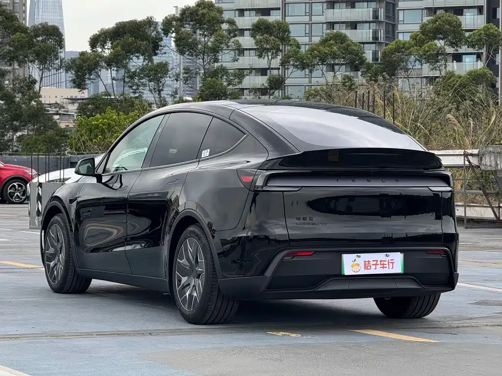 Tesla Model Y L — фото 6
