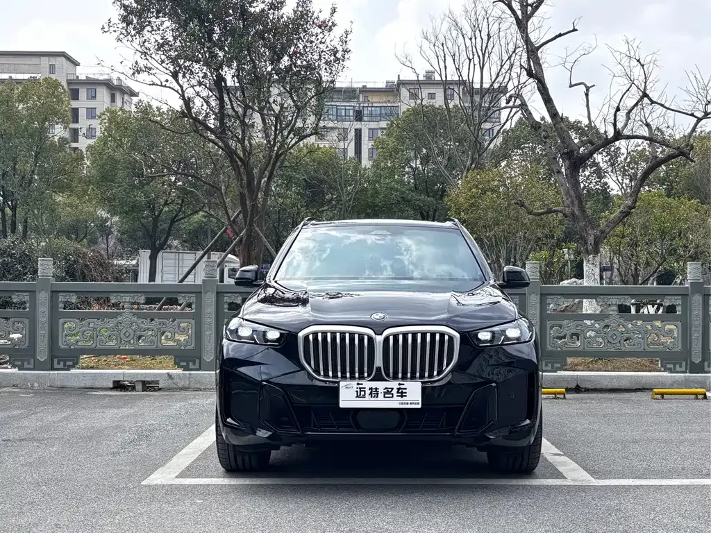 BMW X5 — фото 9