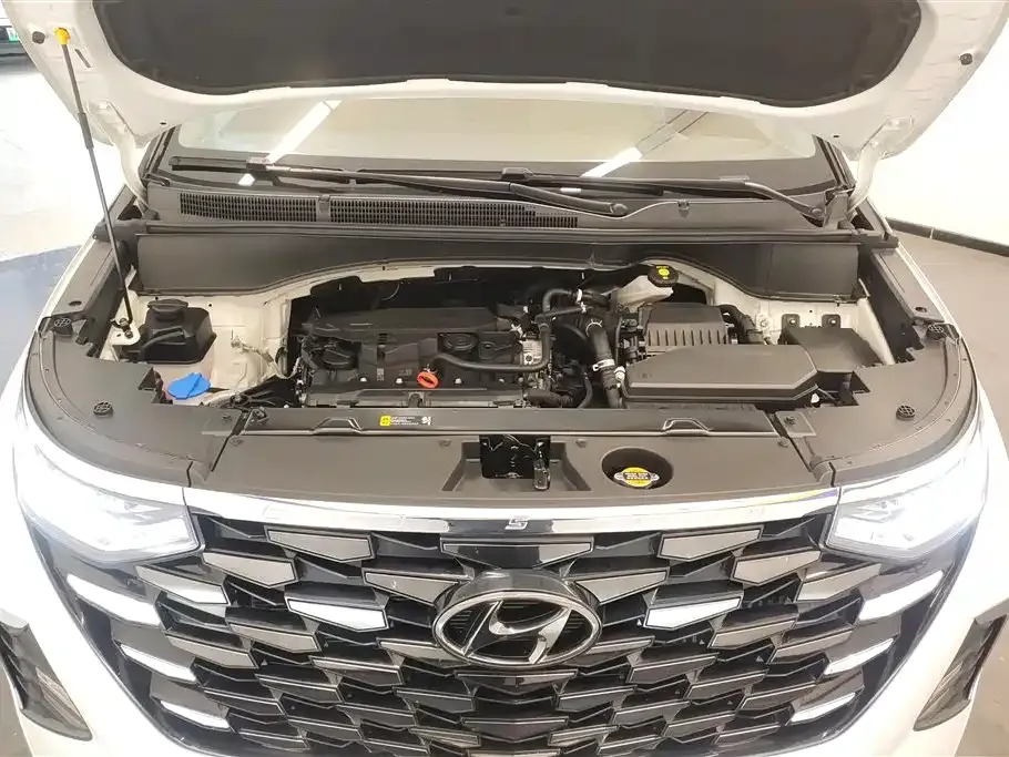 Hyundai Custo — фото 10