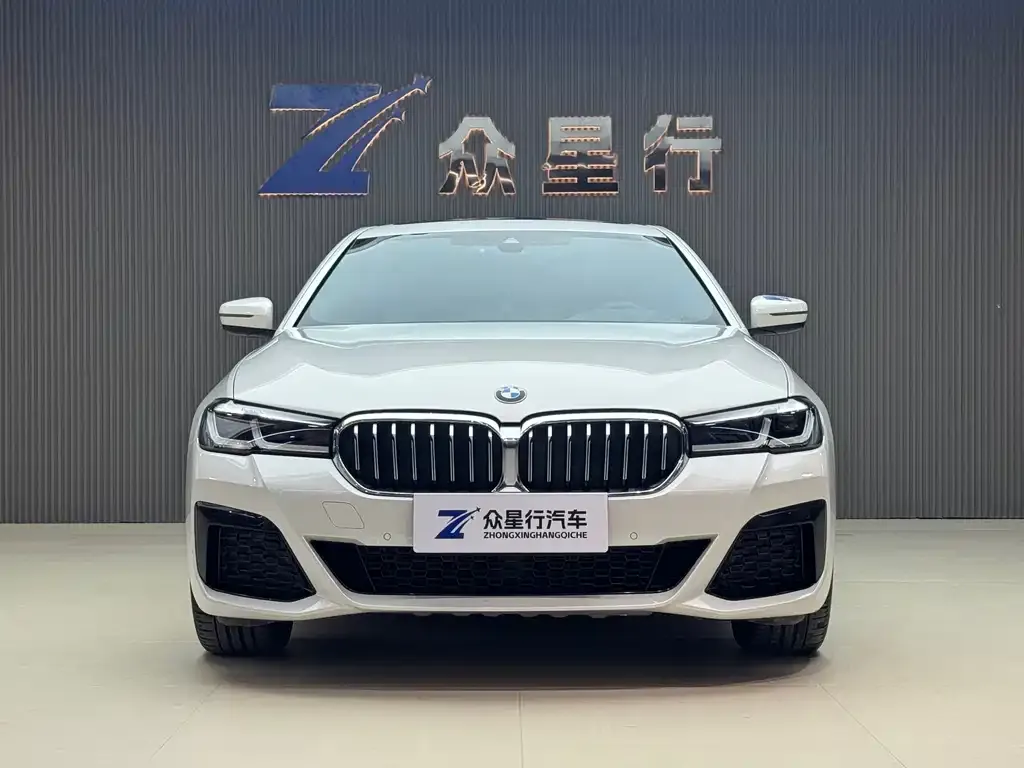 BMW 5 Series New Energy — фото 4