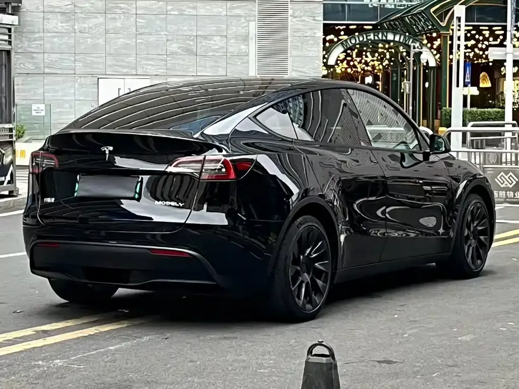 Tesla Model Y — фото 8