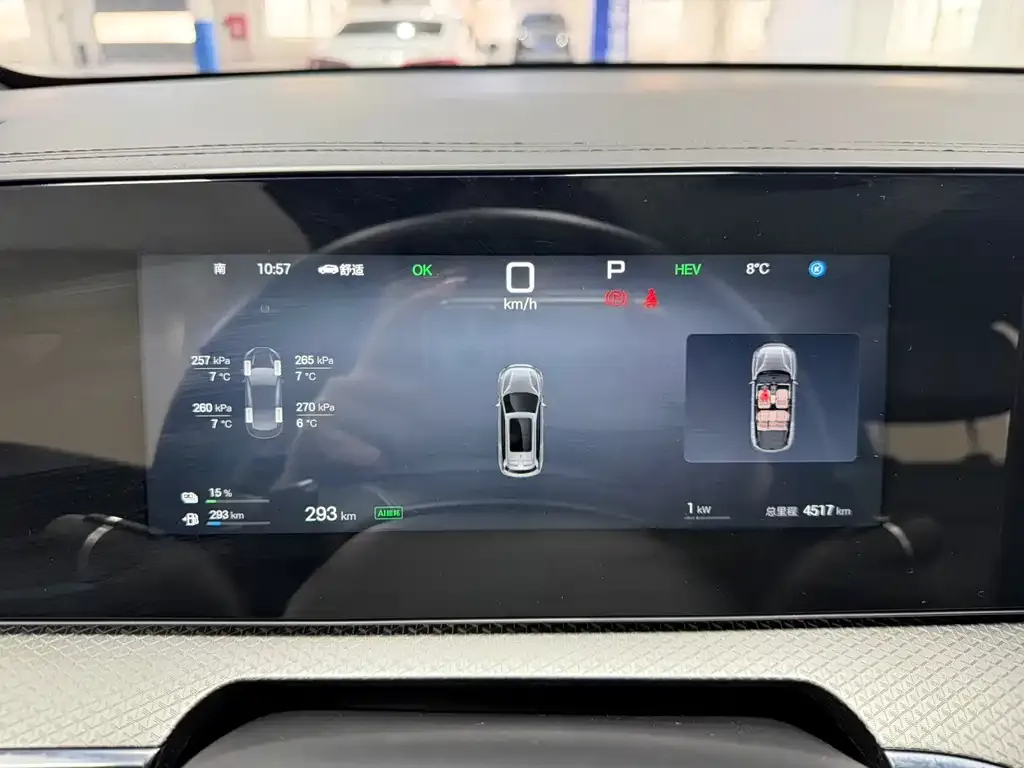 BYD Pro New Energy — фото 6