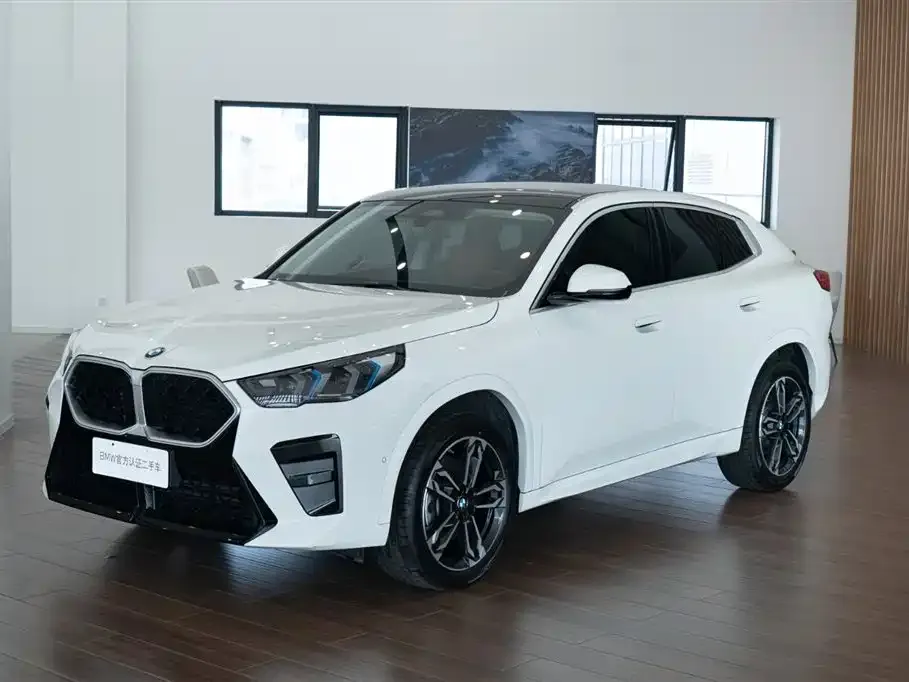 BMW X2 (Import) — фото 1