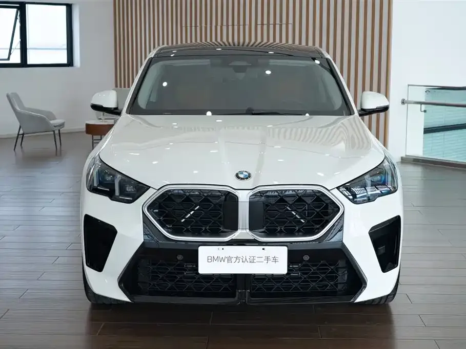 BMW X2 (Import) — фото 8
