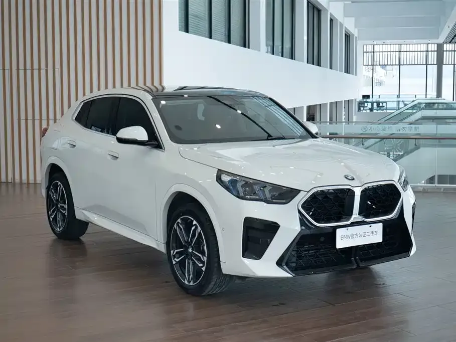 BMW X2 (Import) — фото 10