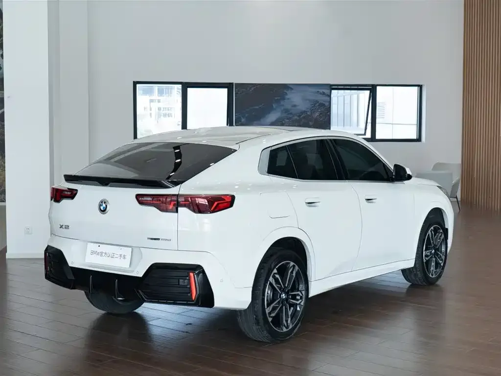 BMW X2 (Import) — фото 5