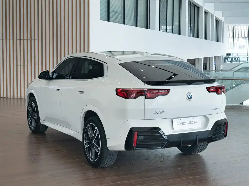 BMW X2 (Import) — фото 6