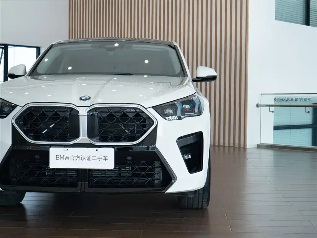 BMW X2 (Import) — фото 9