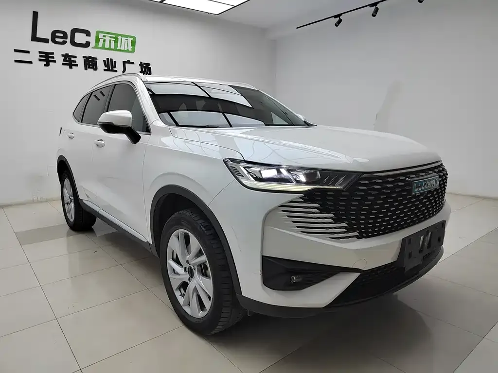 Haval H6 New Energy — фото 8