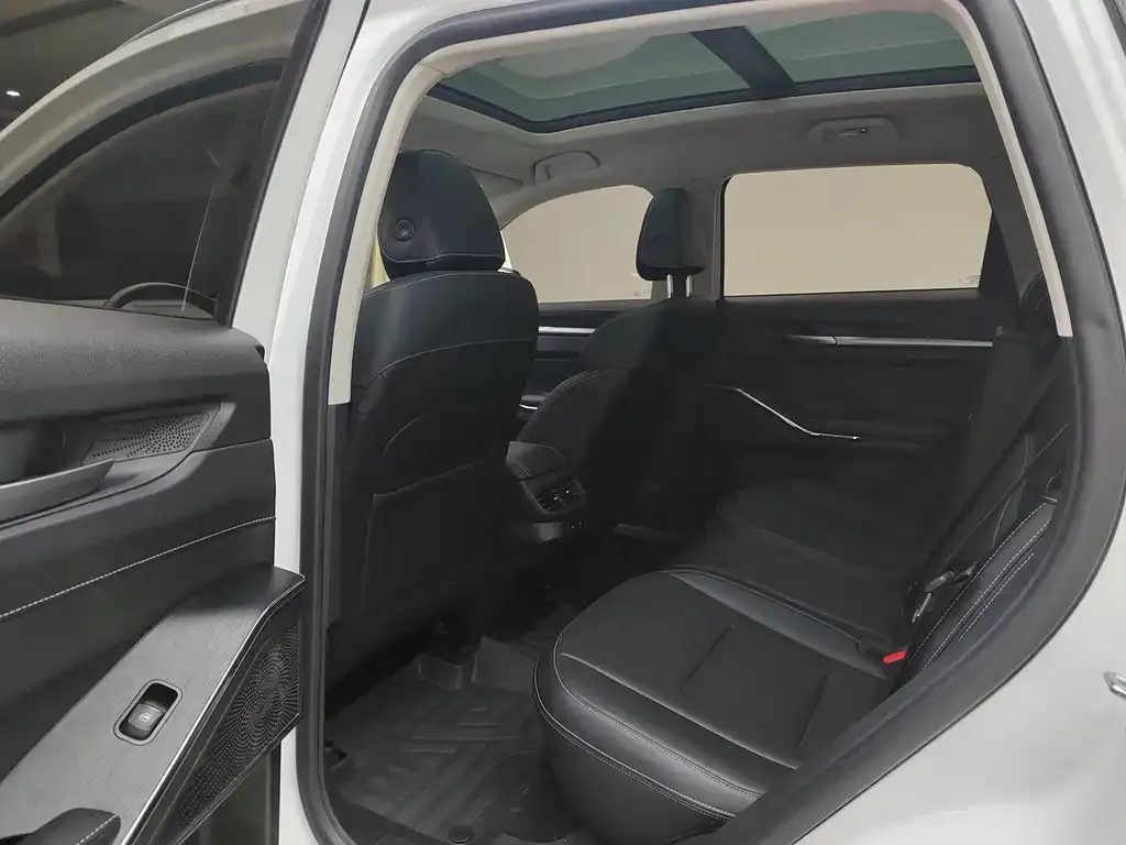 Haval H6 New Energy — фото 10
