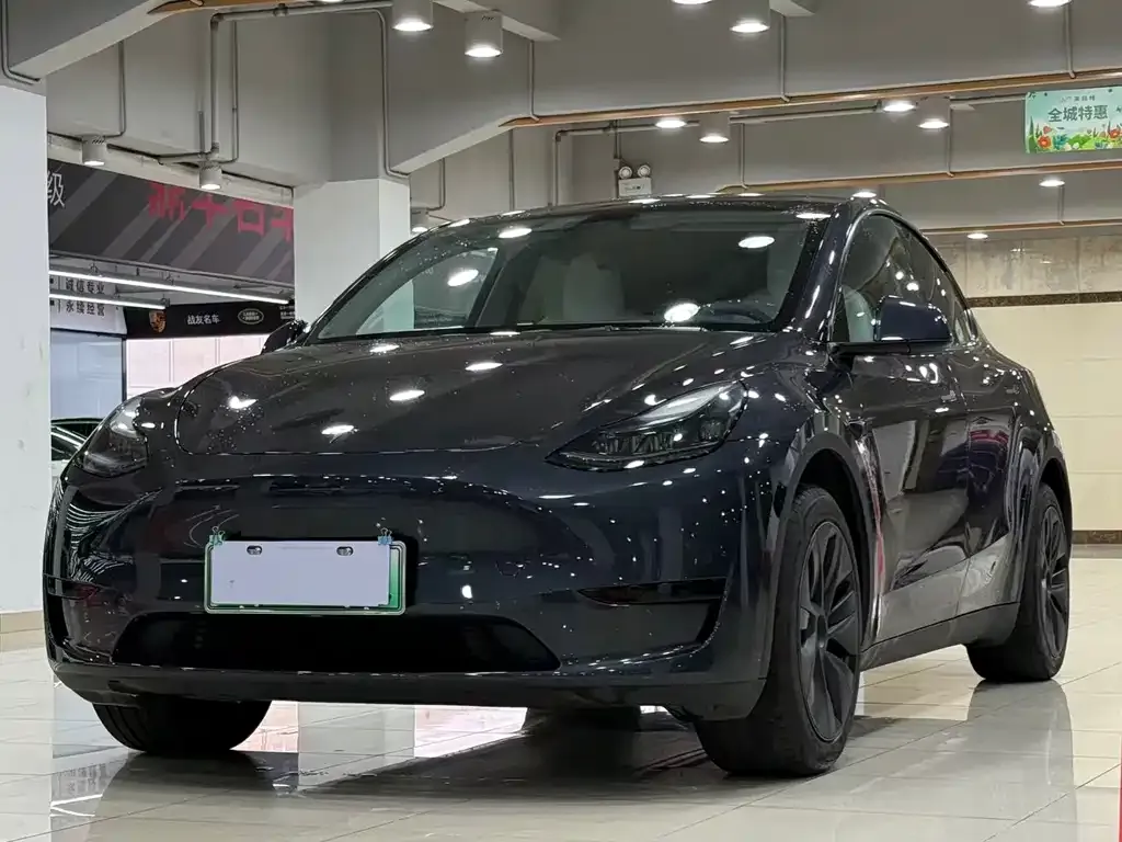 Tesla Model Y — фото 1