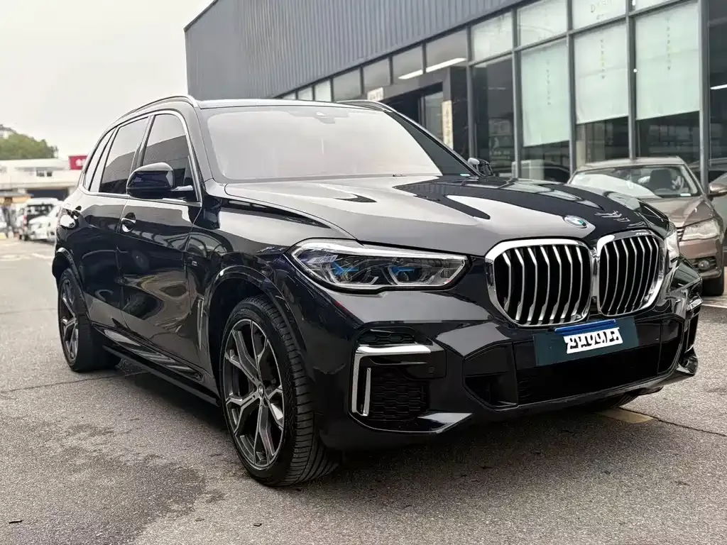 BMW X5 — фото 9