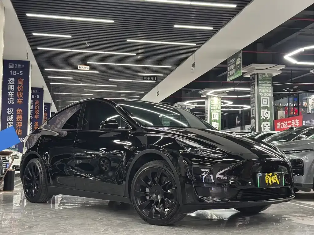 Tesla Model Y — фото 8