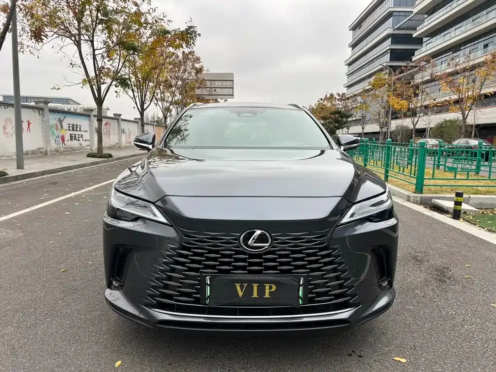 Lexus RX New Energy — фото 10